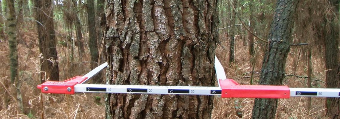 compasforestier
